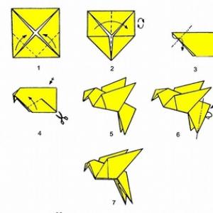 Описание и схемы для изготовления оригами птиц